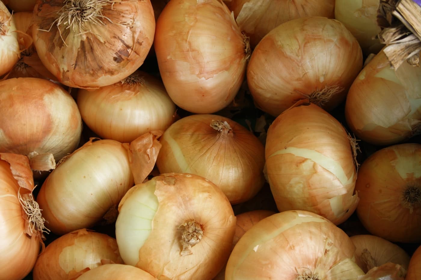 Graded onions at a sourcing yard