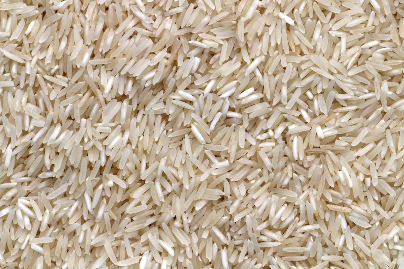 Long-grain basmati rice ready for export packing
