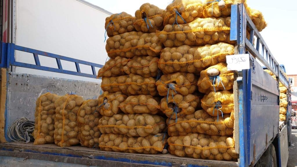 Freshly harvested premium sorted potatoes